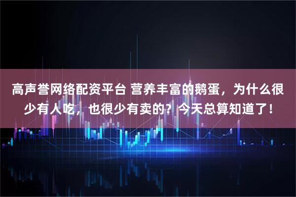 高声誉网络配资平台 营养丰富的鹅蛋，为什么很少有人吃，也很少有卖的？今天总算知道了！