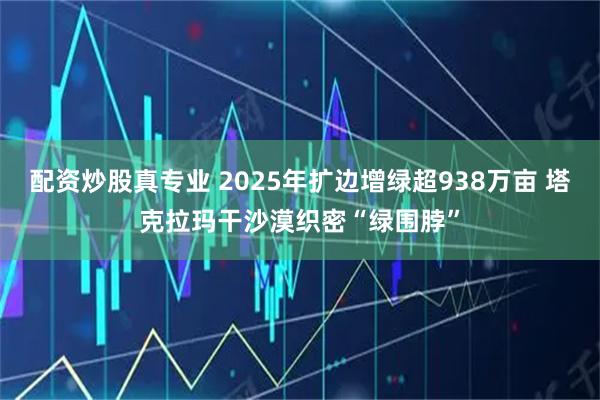 配资炒股真专业 2025年扩边增绿超938万亩 塔克拉玛干沙漠织密“绿围脖”