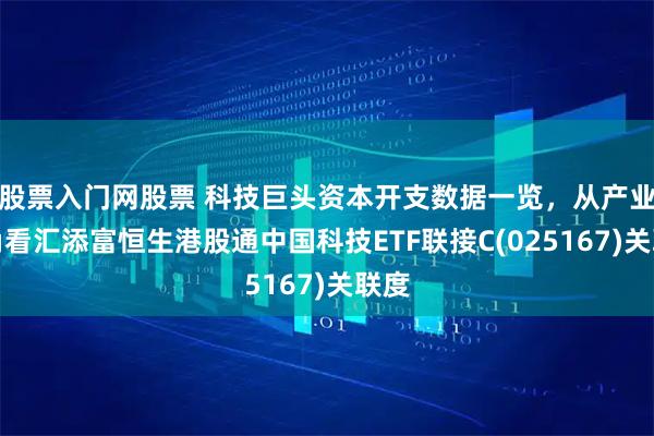 股票入门网股票 科技巨头资本开支数据一览,从产业视角看汇添富恒生港股通中国科技ETF联接C(025167)关联度