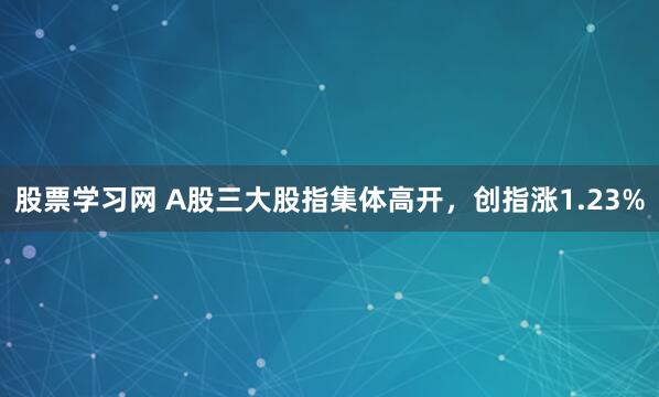 股票学习网 A股三大股指集体高开，创指涨1.23%